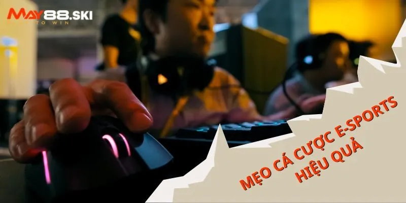 Bỏ túi mẹo cá cược Esports hiệu quả tân binh không nên bỏ lỡ