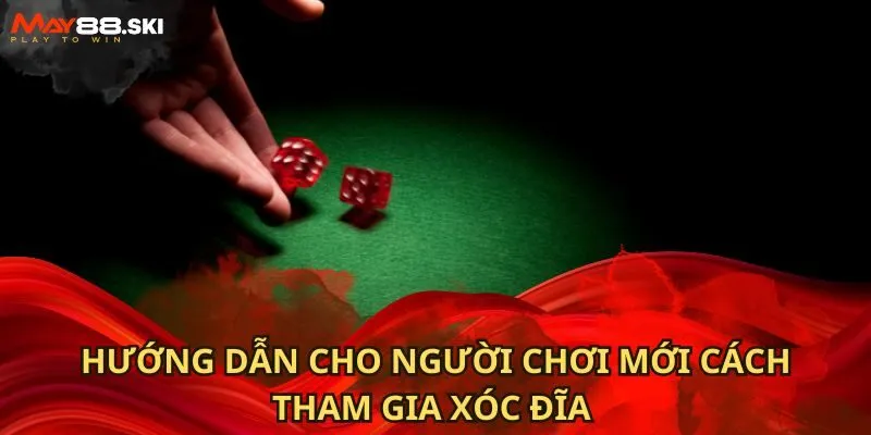 Hướng dẫn cho người chơi mới cách tham gia xóc đĩa
